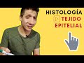 Tejido EPITELIAL | Histología | Super FÁCIL✔️| Mati Imfeld😆