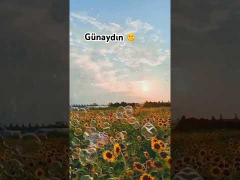 Sanada Günaydın.🌞 #günaydınlar #keşfet #youtube #reels #youtubeshorts #aşk #aboneol #tiktok #fyp