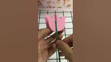 món quà tặng thầy cô bạn bè ngày khai giảng #shortvideo #shorts #short