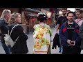 京都祇園、多くの外国人観光客が人生初!夢だった念願の美しい舞妓さんたちのあいさつ回りに感動!海外の反応