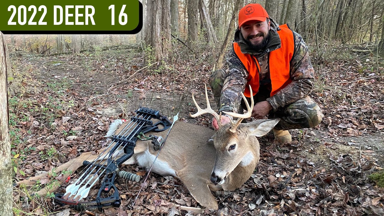 Calling a Buck In Public Land BOW HUNT during ML Season YouTube