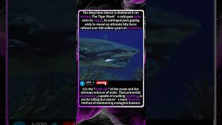 Unseen Power: Tiger Shark’s Deadly Jaw in Slow Motion! 🦈🔥#TigerShark#OceanLife #funny#foryou