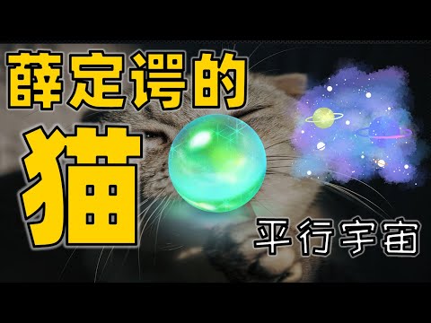 薛定谔的猫  意识 平行宇宙的开启