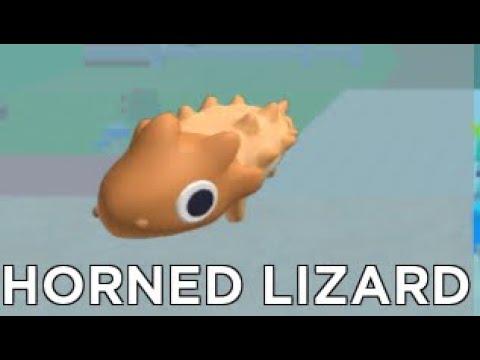 CapCut_find the animals roblox horned lizard