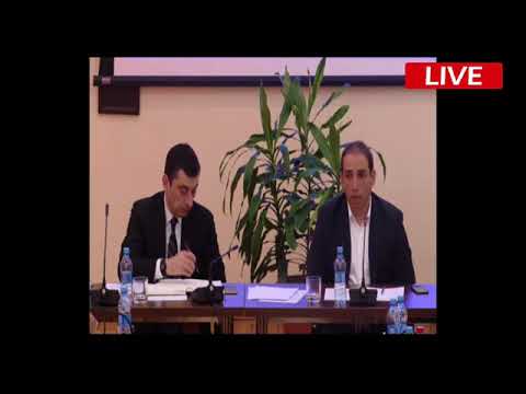 ირაკლი შოთაძე: \"გ.ბ-ს აუცილებლად უნდა გამოეყენებინა დანა\"