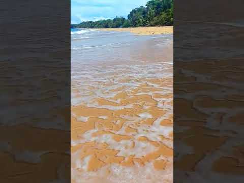 Видео: Всичко за плажовете на Панама
