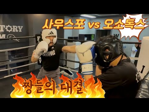 사우스포 VS 오소독스 복싱 스파링 