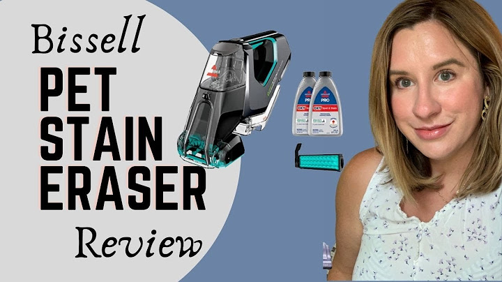 Bissell pet stain eraser powerbrush portable carpet cleaner 2842