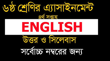 Assignment class six English,