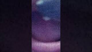 14 De Janeiro De 2023