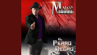 Download Lagu Perdiste el Toque