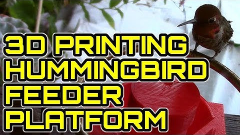 3D Printing a Hummingbird Feeder Platform / Lulzbot Mini
