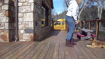 fading visual to verbal cue