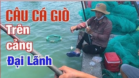 Câu Cá Giò | Vào Giao Lưu Cùng Cần Thủ Đất Cảng Giật Cá Giò Hấp Dẫn | MARINE - LIFE người vùng biển