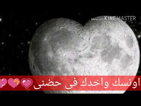 اغنيه قلب واحد مش كفايه فى حبى ليك