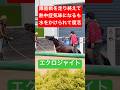 【無事で何より】 障害レースを走り終えて熱中症気味になり倒れていたエクロジャイト 水をかけられて立ち上がり事なきを得る #障害レース #競馬 #shorts