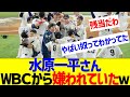 水原一平さんWBCから嫌われていたw【なんJ なんG反応】
