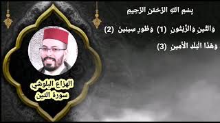 سورة التين هشام الهراز