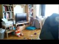 Video0178.mp4