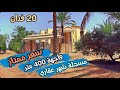 مزرعة نخل و زيتون و فيلا ٢٠ فدان بالعاشر من رمضان بلبيس