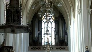 Ibach Orgel Deventer - Ton Zwartkruis speelt van Lefébure Wely: Elevation ou Communion