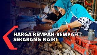 Permintaan Semakin Tinggi, Harga Rempah-Rempah Sekarang Naik!