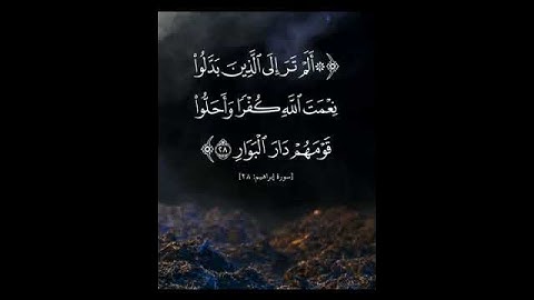 ماجد الحازمي - سورة ابراهيم