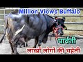 World's Biggest Udder Murrah Buffalo - Parvati || दूध की मशीन - 30 KG Expected Milk