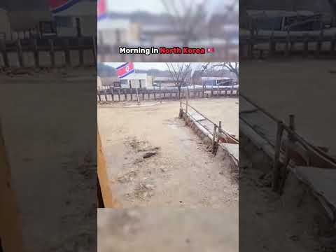 Morning in North Korea #shorts #northkorea