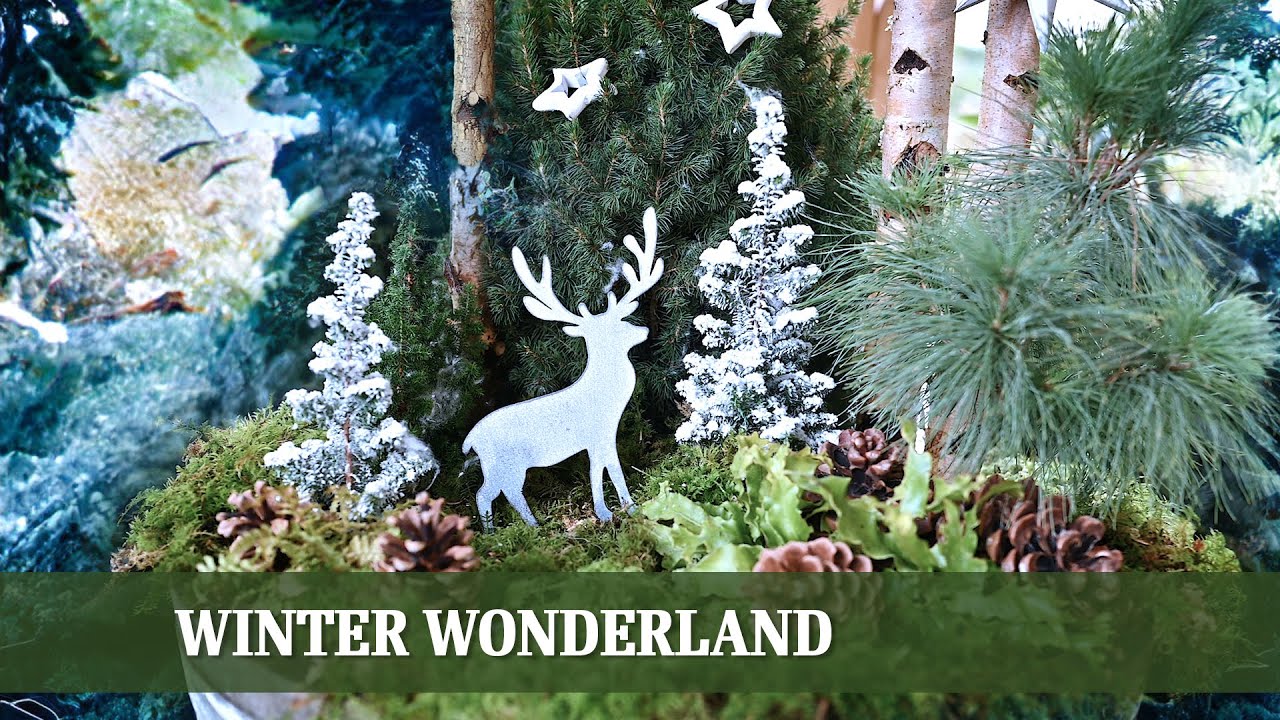 Winter Wonderland - Wie man einen Kbel weihnachtlich bepflanzt