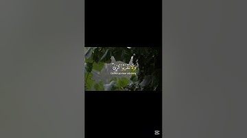 لنتمشى ونستمع🎧🚶‍♂️… اكتب شيء تؤجر عليه… #قرآن_كريم #قران #ذكر_لله #سورة_الإسراء #خالد_الجليل