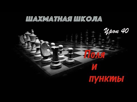 Урок 40. Поля и пункты