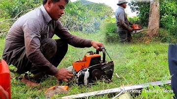 STIHL MS720 Chainsaw VS 60Feet High Trees Felling! Broken Chainsaw While Cut Down Oak Trees