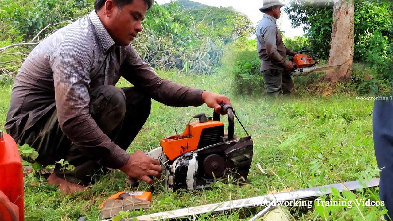 STIHL MS720 Chainsaw VS 60Feet High Trees Felling! Broken Chainsaw