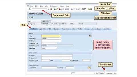 SAP Screen Structure | SAPNotes