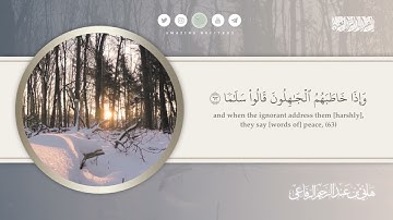 تلاوة من سورة الفرقان || الشيخ هاني الرفاعي