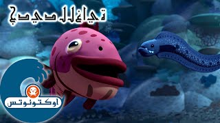 16 أوكتونوتس | تعاون العملية | السلسلة 4 | الحلقة