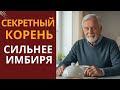 После 60 лет: Тайна специи.Иммунитет без лекарств.Куркума для сердца и сосудов