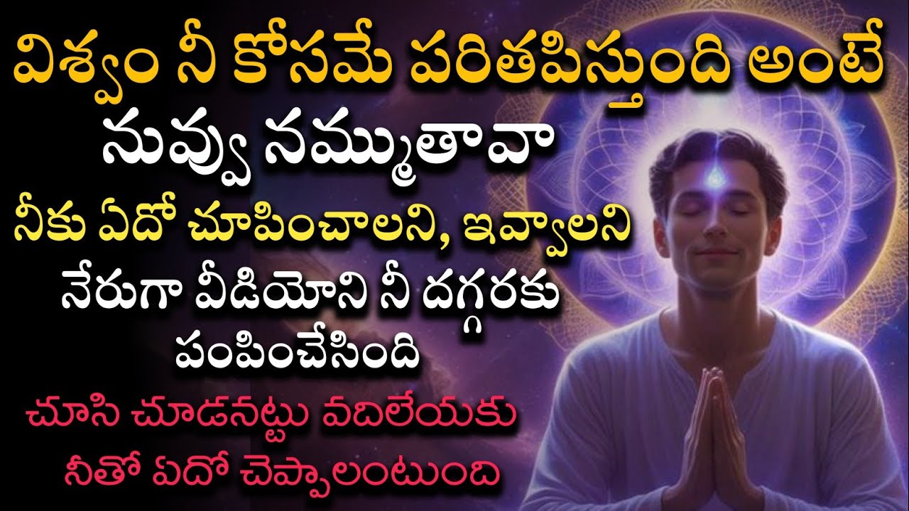 universe loves you | universe something telling you