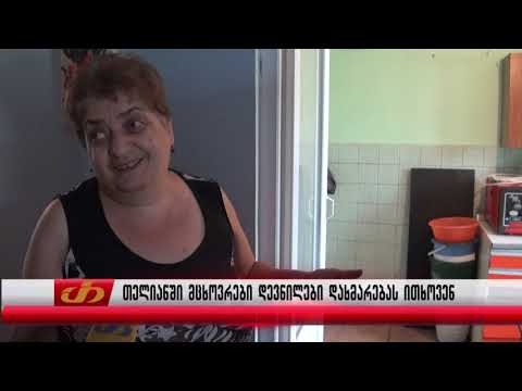 თელიანში მცხოვრები დევნილები დახმარებას ითხოვენ
