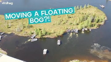 Community Spirit Helps Move Floating Bog || ViralHog