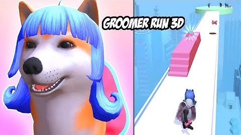 Groomer Run 3D 🐕‍🦺🦮🐕 Gameplay Walkthrough level 1-10 Android, ios