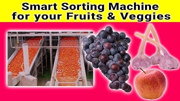 Smart Sorting Machine for your Fruits and Veggies