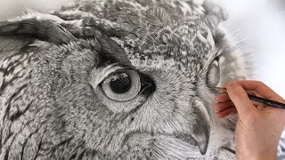 Hyperrealism/ Hyperrealistic owl drawing