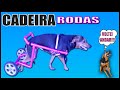 COMO FAZER CADEIRA DE RODAS PARA CACHORRO E GATO