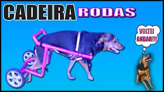 COMO FAZER CADEIRA DE RODAS PARA CACHORRO E GATO