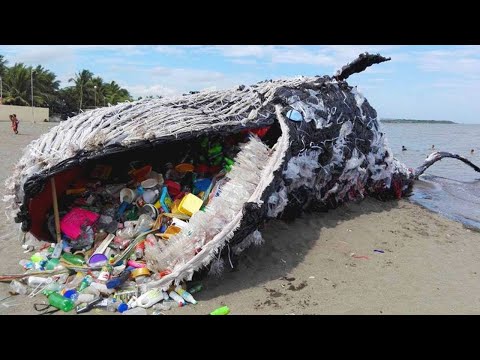 Video: İnsanlar neden denizi kirletir?