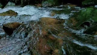 Sound of Flowing Water  Sound For Sleep, Nature Sounds, Relaxing Sound