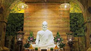 Nghi Thức NIKAYA - Đảnh Lễ Pháp Bảo ( 15.08.2024)