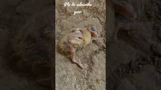 Dil Lene Ki Rut Aaye